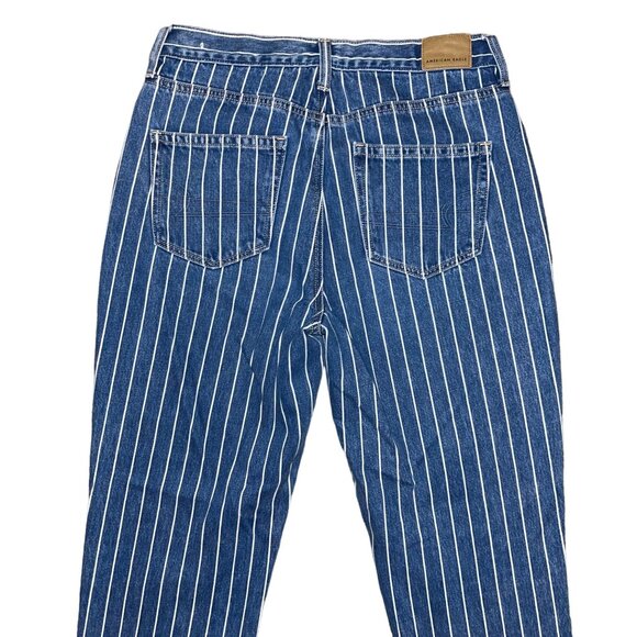 American Eagle Outfitters Womens 4 27 Reg AEO Mom Tapered Leg Jeans Striped - Picture 6 of 8